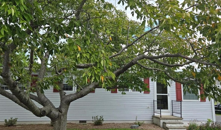 103 SMYRNA Ave, Clayton, DE 19938 - 3 Beds, 1 Bath