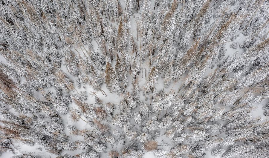 W Hunter Ridge Dr, Brian Head, UT 84719 - 0 Beds, 0 Bath