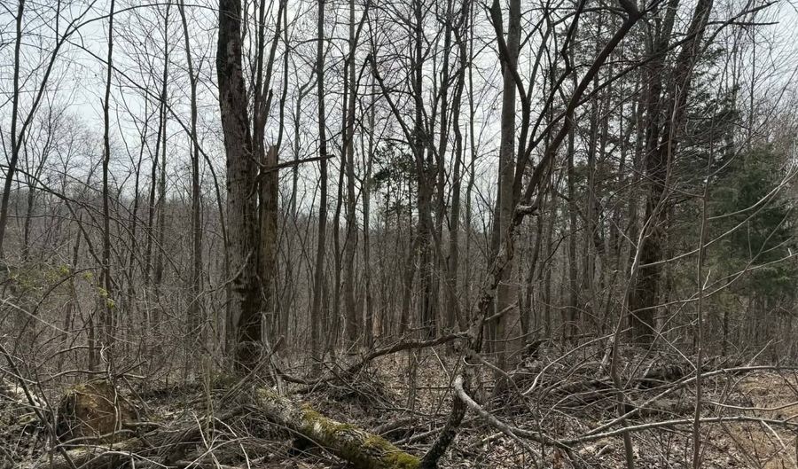 Malone Ridge Rd, Albany, KY 42602 - 0 Beds, 0 Bath