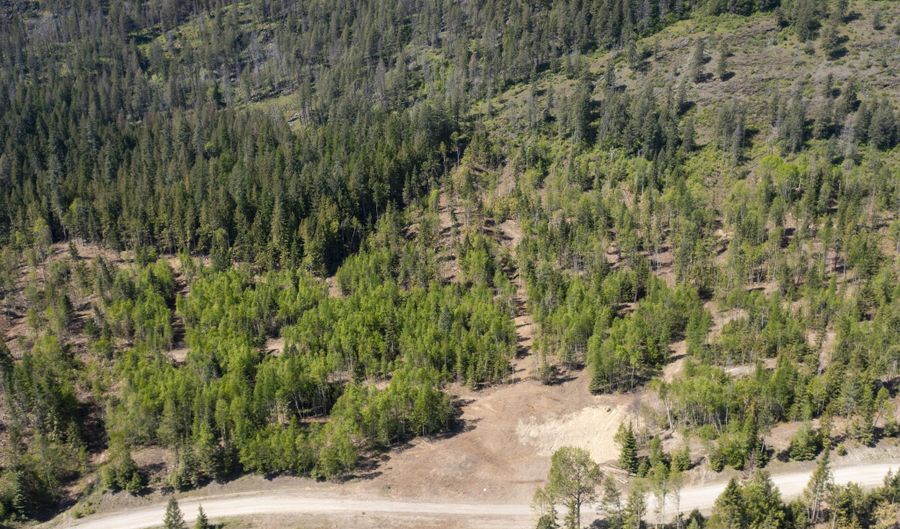 NNA WESTSIDE RD PARCEL 9, Bonners Ferry, ID 83805 - 0 Beds, 0 Bath