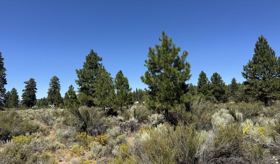 Bufflehead Drive 18, Bonanza, OR 97623 - 0 Beds, 0 Bath