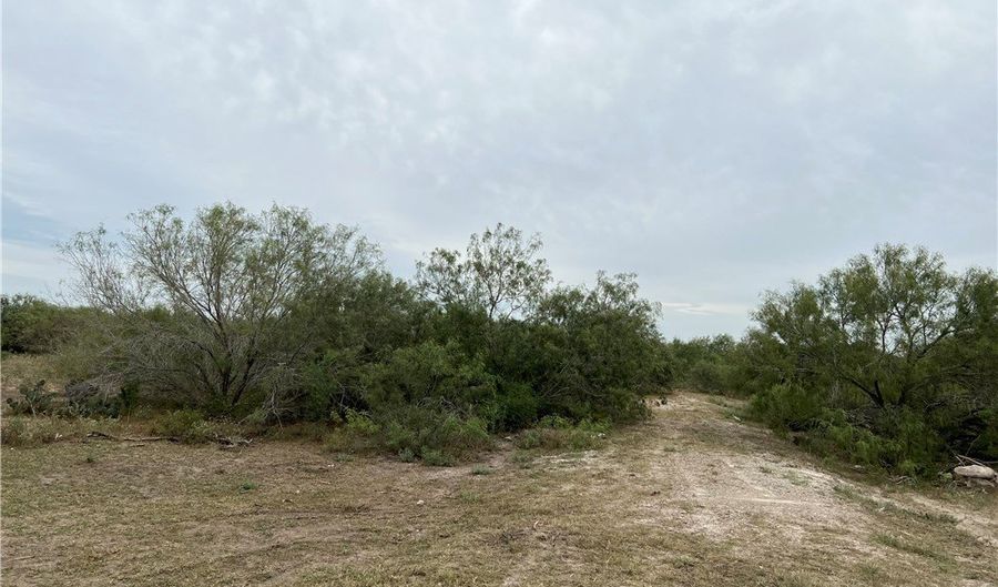 Cr-465, Alice, TX 78332 - 0 Beds, 0 Bath
