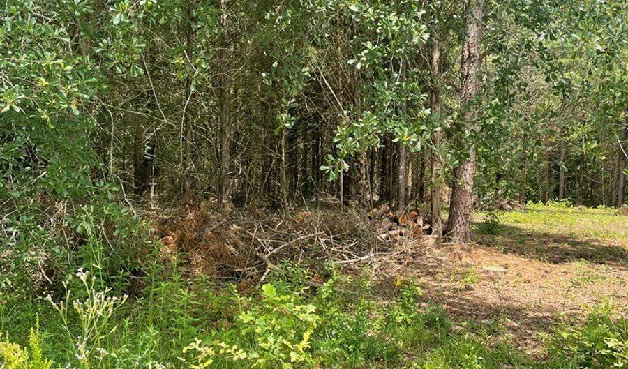 96 Deacon Rd, Calhoun Falls, SC 29628 - 0 Beds, 0 Bath