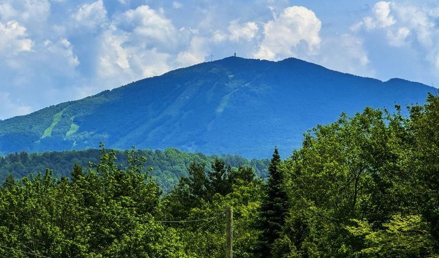 Lynburke Road lot 1, Burke, VT 05871 - 0 Beds, 0 Bath