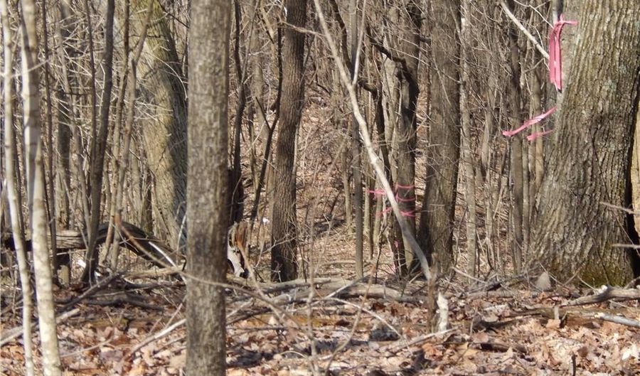 Gentry Farm Road, Aurora, NC 28743 - 0 Beds, 0 Bath