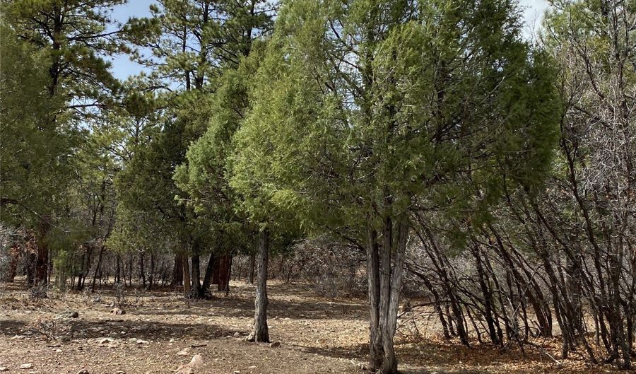 Private Drive 1754 blk 2 lot 24, Chama, NM 87520 - 0 Beds, 0 Bath