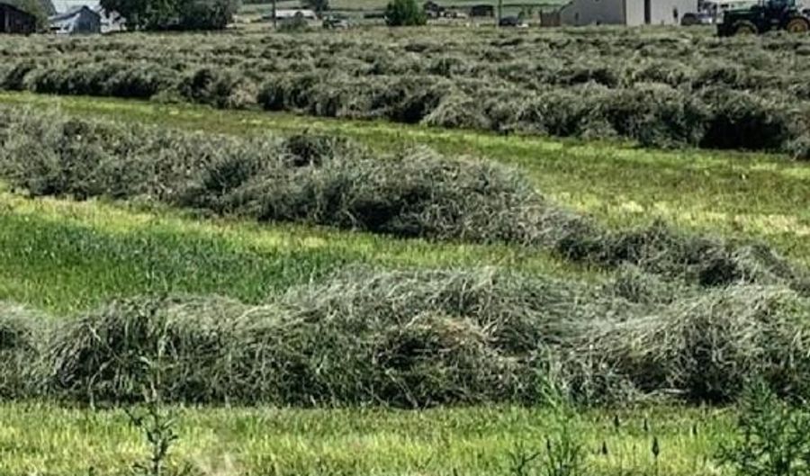 Lot 1 Highway 550, Montrose, CO 81403 - 0 Beds, 0 Bath