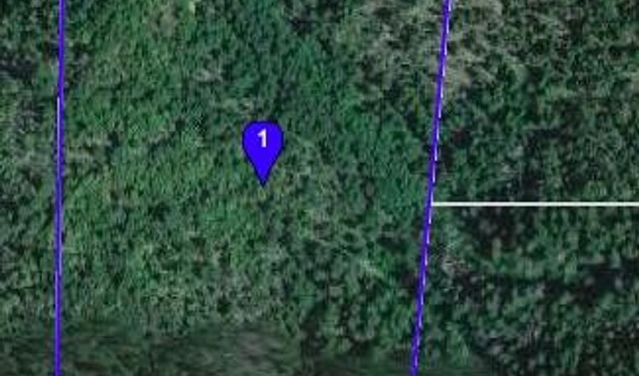 80 Acres Mtn, Bridgeville, CA 95526 - 0 Beds, 0 Bath