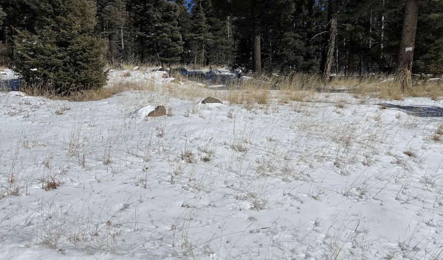 El Camino Real Lot 1386, Angel Fire, NM 87710 - 0 Beds, 0 Bath