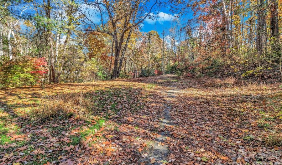 99999 Leisure Mountain Rd, Asheville, NC 28804 - 0 Beds, 0 Bath