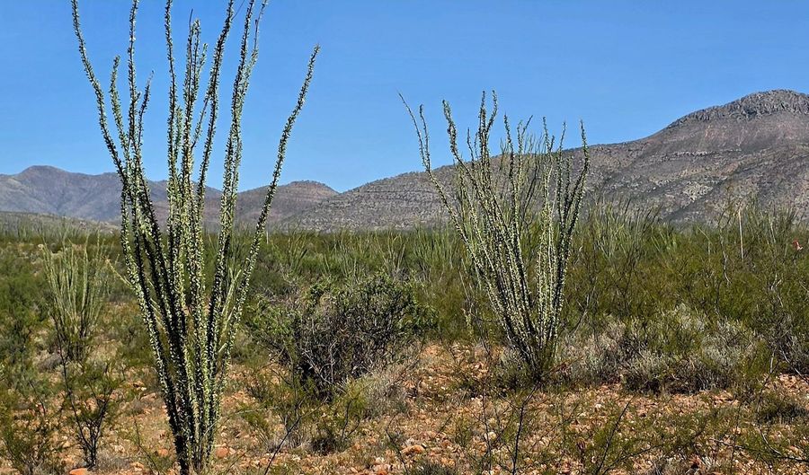 E Beech Craft Boulevard, Bisbee, AZ 85603 - 0 Beds, 0 Bath