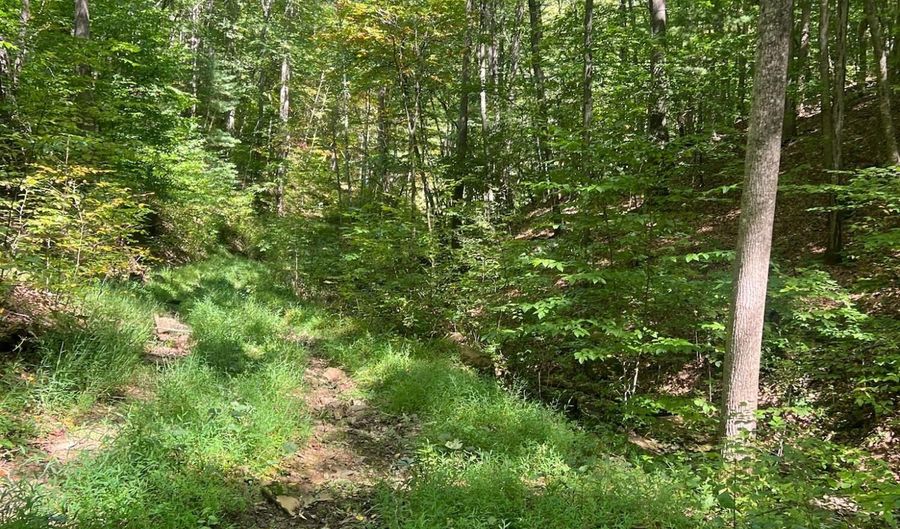 Hamilton Ridge Road, Alderson, WV 24910 - 0 Beds, 0 Bath