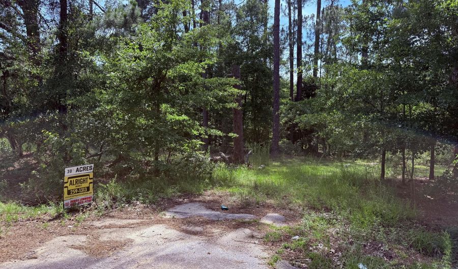5827 Reynolds Rd, Blackville, SC 29817 - 0 Beds, 0 Bath