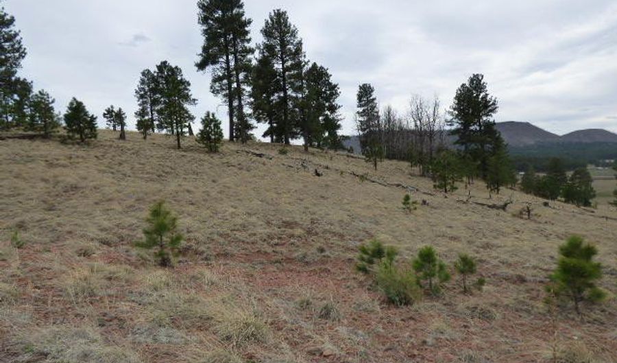 Lot 14a The Ranch At Alpine, Alpine, AZ 85920 - 0 Beds, 0 Bath