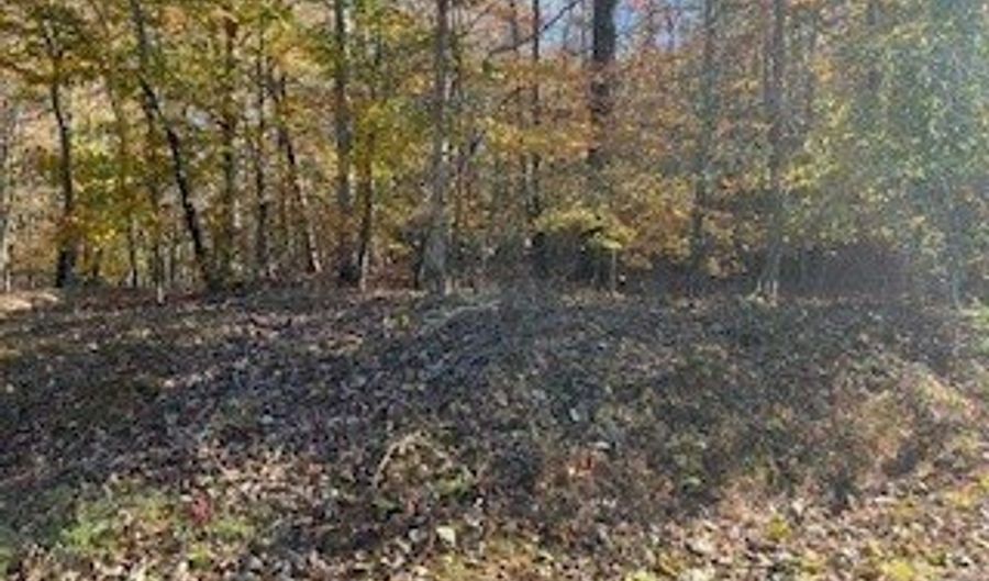 Old Burnt House, Ball Ground, GA 30107 - 0 Beds, 0 Bath