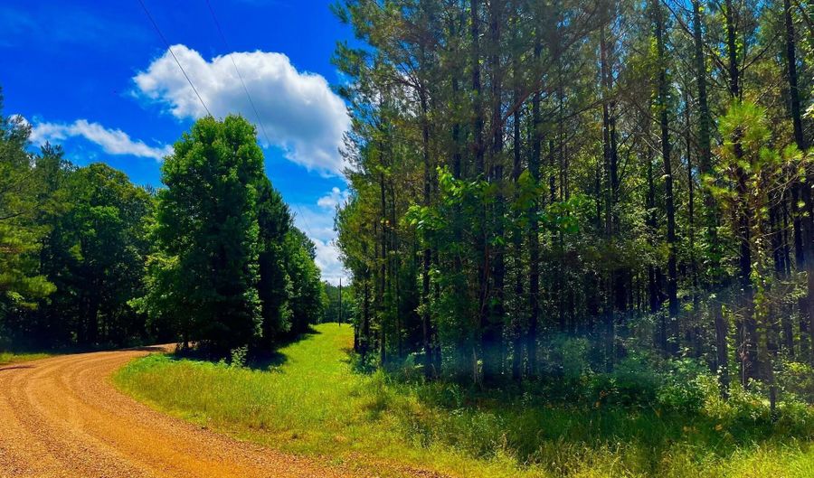 Arthur Drive, Brookhaven, MS 39601 - 0 Beds, 0 Bath