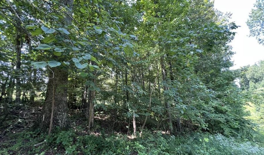 3772 E New Roe Rd, Adolphus, KY 42120 - 0 Beds, 0 Bath