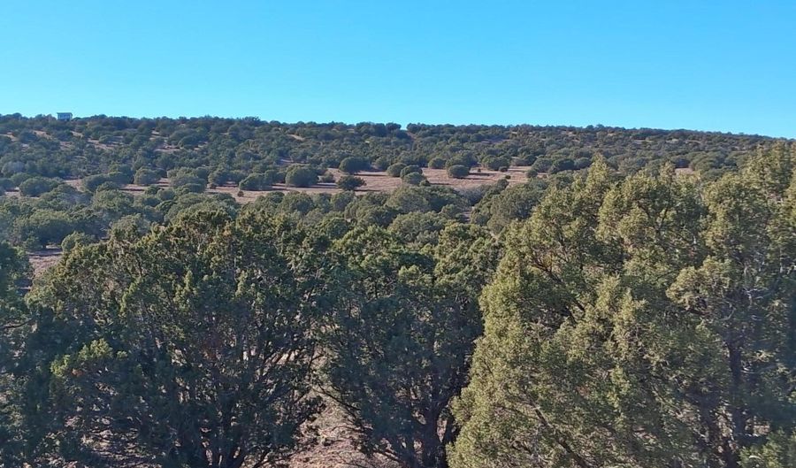 SW N8716, Concho, AZ 85924 - 0 Beds, 0 Bath