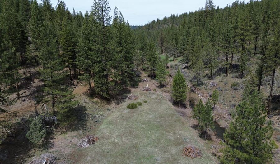 Roney Flat Road, Adin, CA 96006 - 0 Beds, 0 Bath