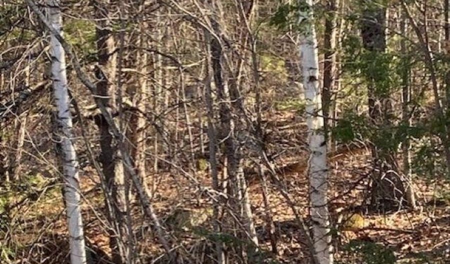 Orchard View Drive lot 008, Amherst, NH 03031 - 0 Beds, 0 Bath