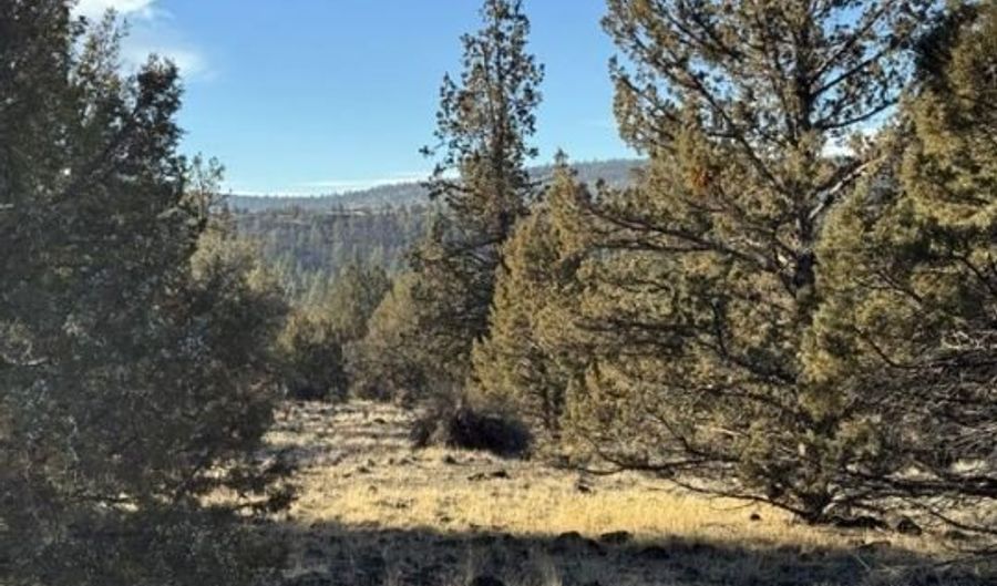 Canvasback Drive, Bonanza, OR 97623 - 0 Beds, 0 Bath