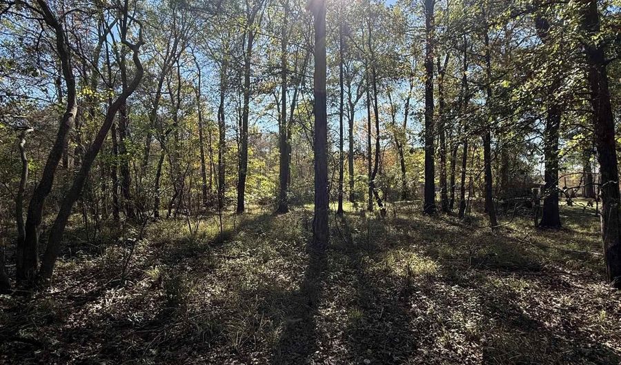 0 Lot 3 PLATTS Lndg, Bernice, LA 71222 - 0 Beds, 0 Bath