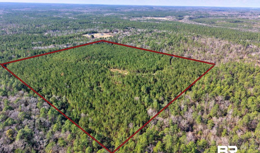 Jones Lane, Bay Minette, AL 36507 - 0 Beds, 0 Bath