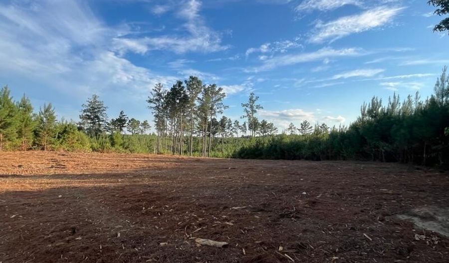 Ms Hwy 540, Braxton, MS 39044 - 0 Beds, 0 Bath