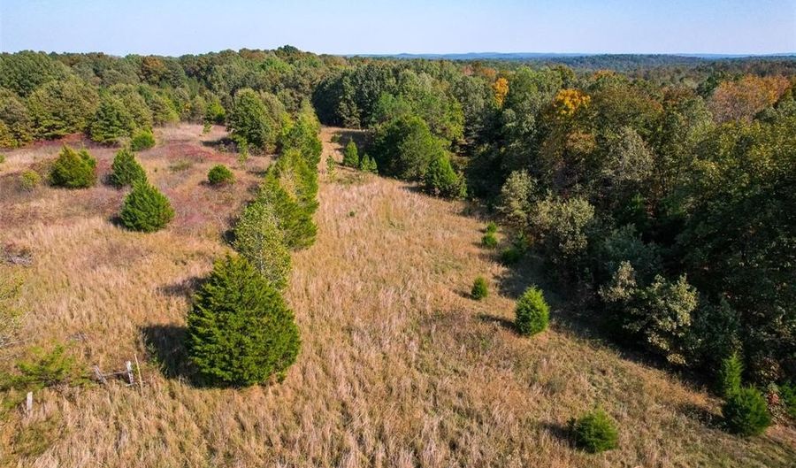 2300 CR 149, Alton, MO 65606 - 0 Beds, 0 Bath