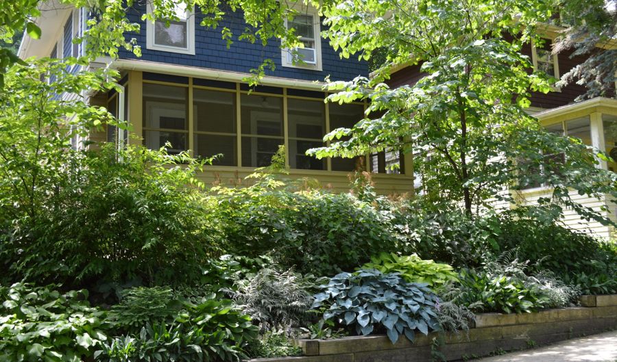 501 W Mosley St, Ann Arbor, MI 48103 - 3 Beds, 2 Bath