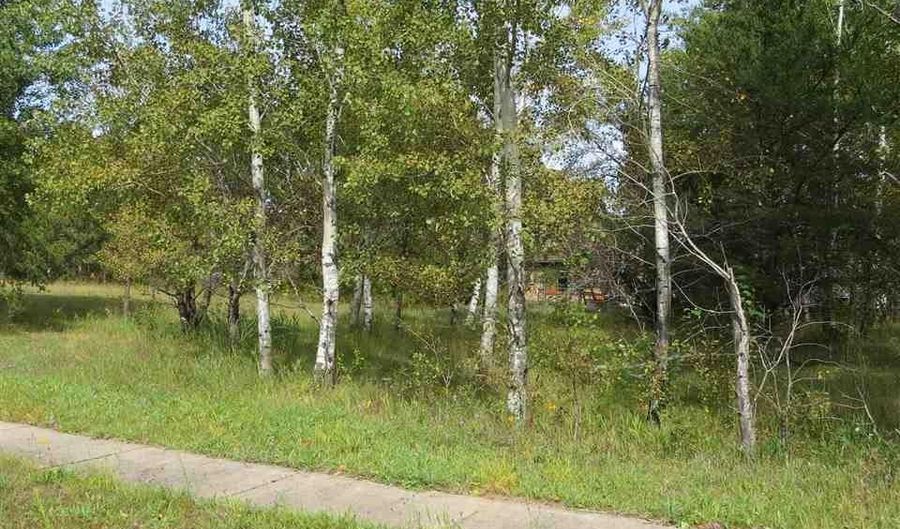 24 Mulberry Ln, Babbitt, MN 55706 - 0 Beds, 0 Bath