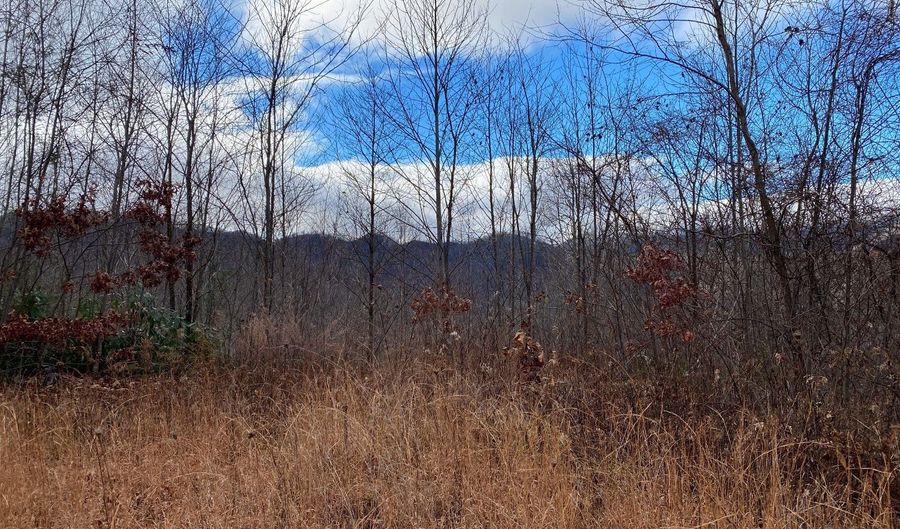 Lot G3 Georgianna Lane, Bryson City, NC 28713 - 0 Beds, 0 Bath