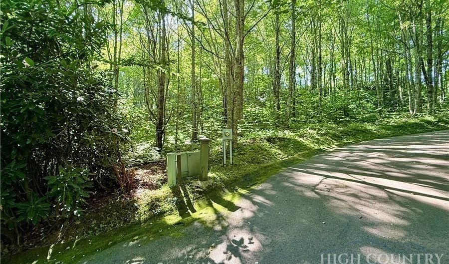 Chestnut Mountain Road, Banner Elk, NC 28604 - 0 Beds, 0 Bath
