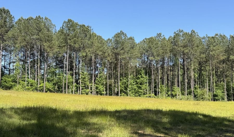 89 GOLDEN POND Rd Lot 9, Ashville, AL 35953 - 0 Beds, 0 Bath