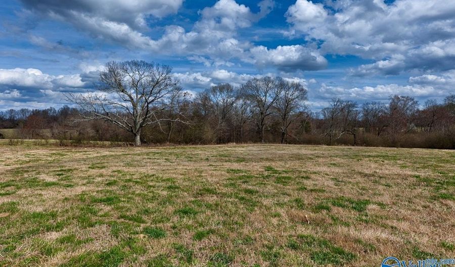 17 Acres County Road 656, Anderson, AL 35610 - 0 Beds, 0 Bath