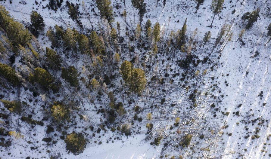 Mountain View Estates lot 38, Anaconda, MT 59711 - 0 Beds, 0 Bath