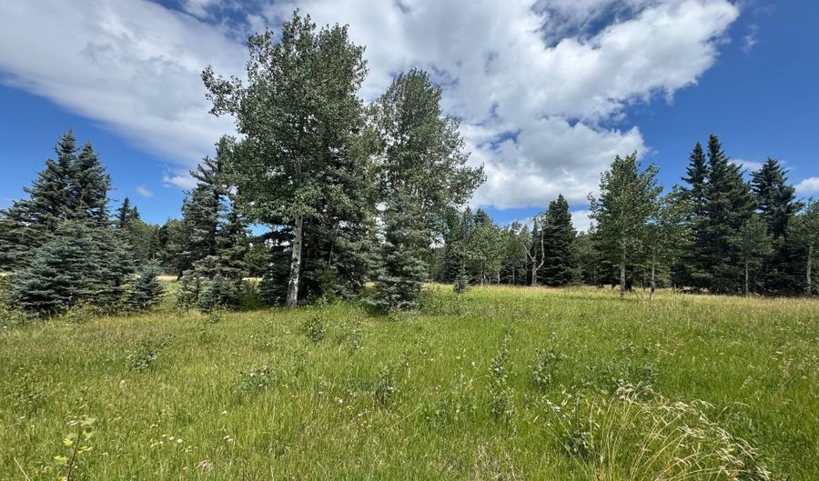 El Camino Real lot 80, Angel Fire, NM 87710 - 0 Beds, 0 Bath