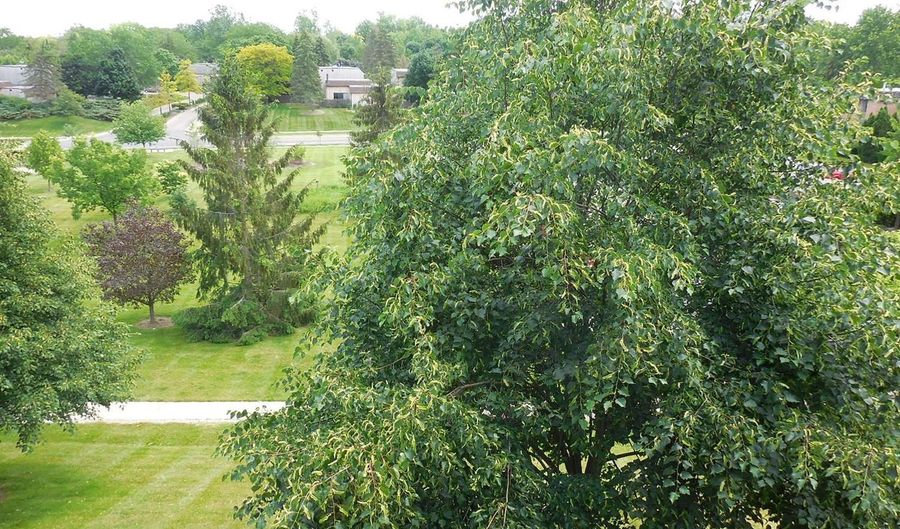 2116 Pauline Blvd 302, Ann Arbor, MI 48103 - 1 Beds, 1 Bath