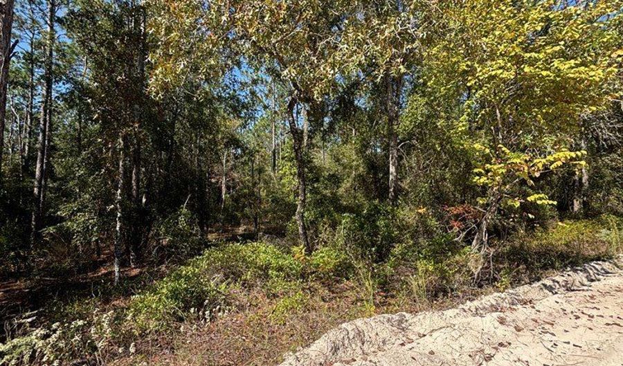 Lot 10 16th Ave, Bell, FL 32619 - 0 Beds, 0 Bath