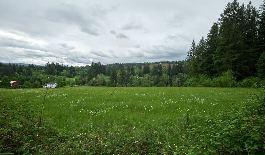 NE 389th St, Amboy, WA 98601 - 0 Beds, 0 Bath