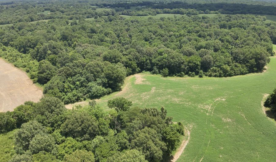 Hwy 1591, Bardwell, KY 42023 - 0 Beds, 0 Bath