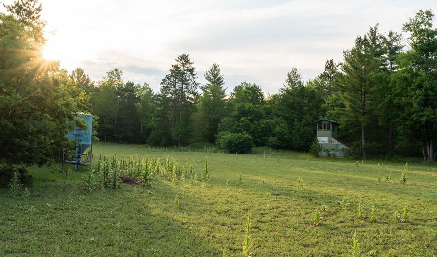 404 Barry Dr, Alger, MI 48610 - 9 Beds, 5 Bath