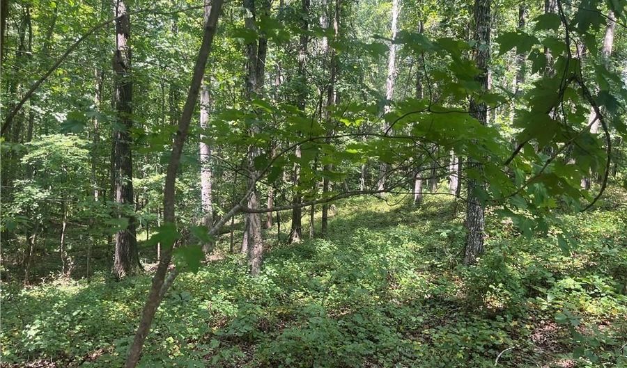2055 Henry Scott Rd-LOT B 3.7 Acres, Ball Ground, GA 30107 - 0 Beds, 0 Bath