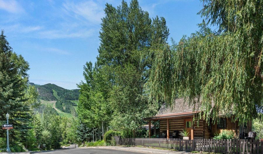 117 Neale Ave, Aspen, CO 81611 - 1 Beds, 1 Bath