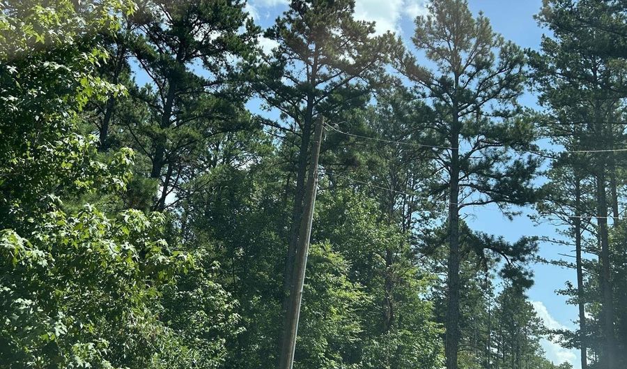 3306 Black Hill Rd, Bee Branch, AR 72013 - 0 Beds, 0 Bath