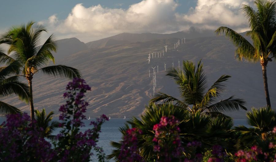 4000 Wailea Alanui Dr 2003, Kihei, HI 96753 - 2 Beds, 3 Bath