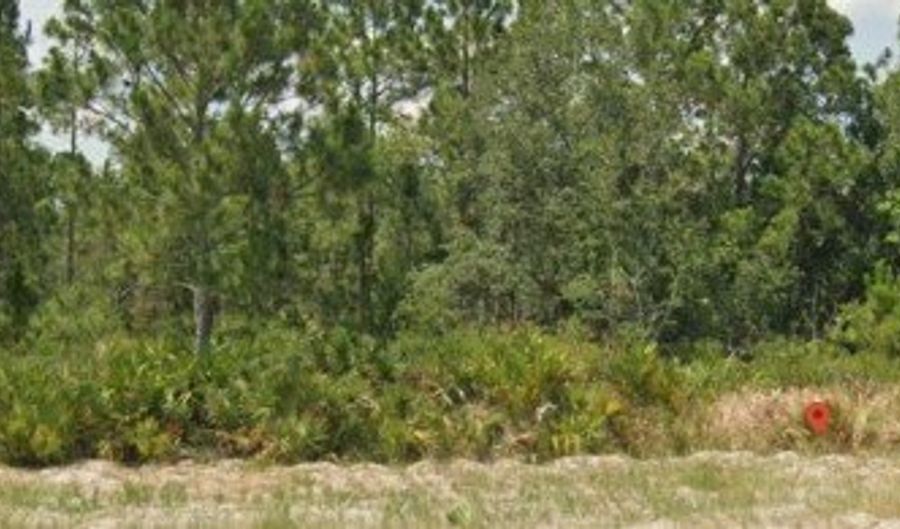 3011 W Dixon Rd, Avon Park, FL 33825 - 0 Beds, 0 Bath