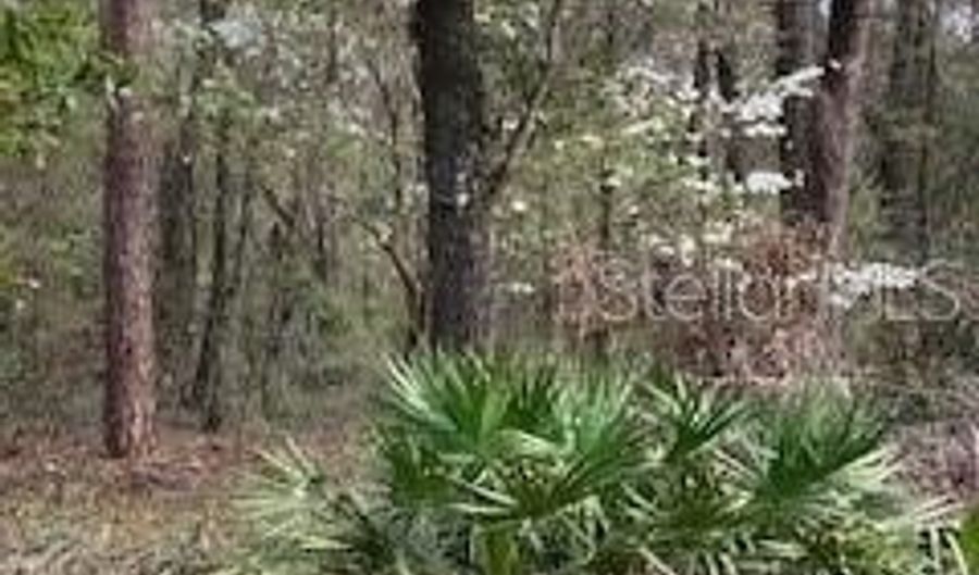 18507 SW 67TH Ave, Archer, FL 32618 - 0 Beds, 0 Bath