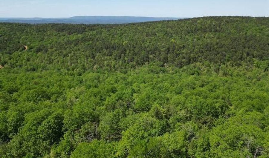 TR 55 56 57 & 23 PINE TREE TRAIL, Albion, OK 74571 - 0 Beds, 0 Bath