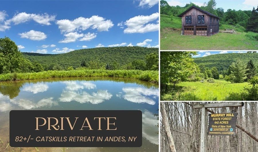 2613 Murphy Hill Rd, Andes, NY 13731 - 0 Beds, 0 Bath